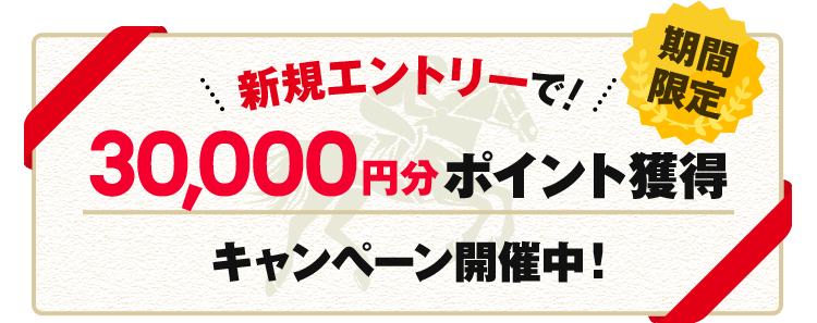 期間限定!新規エントリーで30,000円分ポイント獲得キャンペーン開催中!