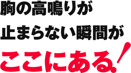 胸の高鳴りが止まらない瞬間がここにある!
